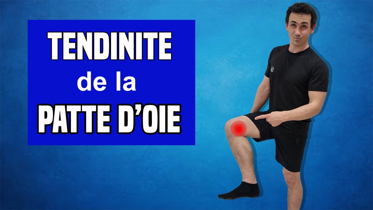 Soigner la tendinite de la patte d'oie : Exercices kiné