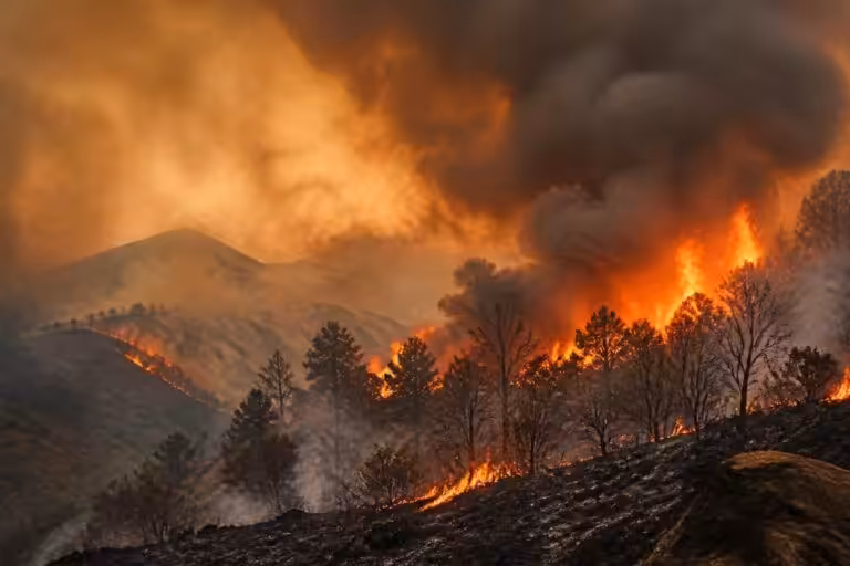 suivez en direct l'incendie dévastateur qui ravage la zone frontalière entre l'espagne et le portugal, avec des mises à jour en temps réel sur l'évolution du feu et les interventions des secours.